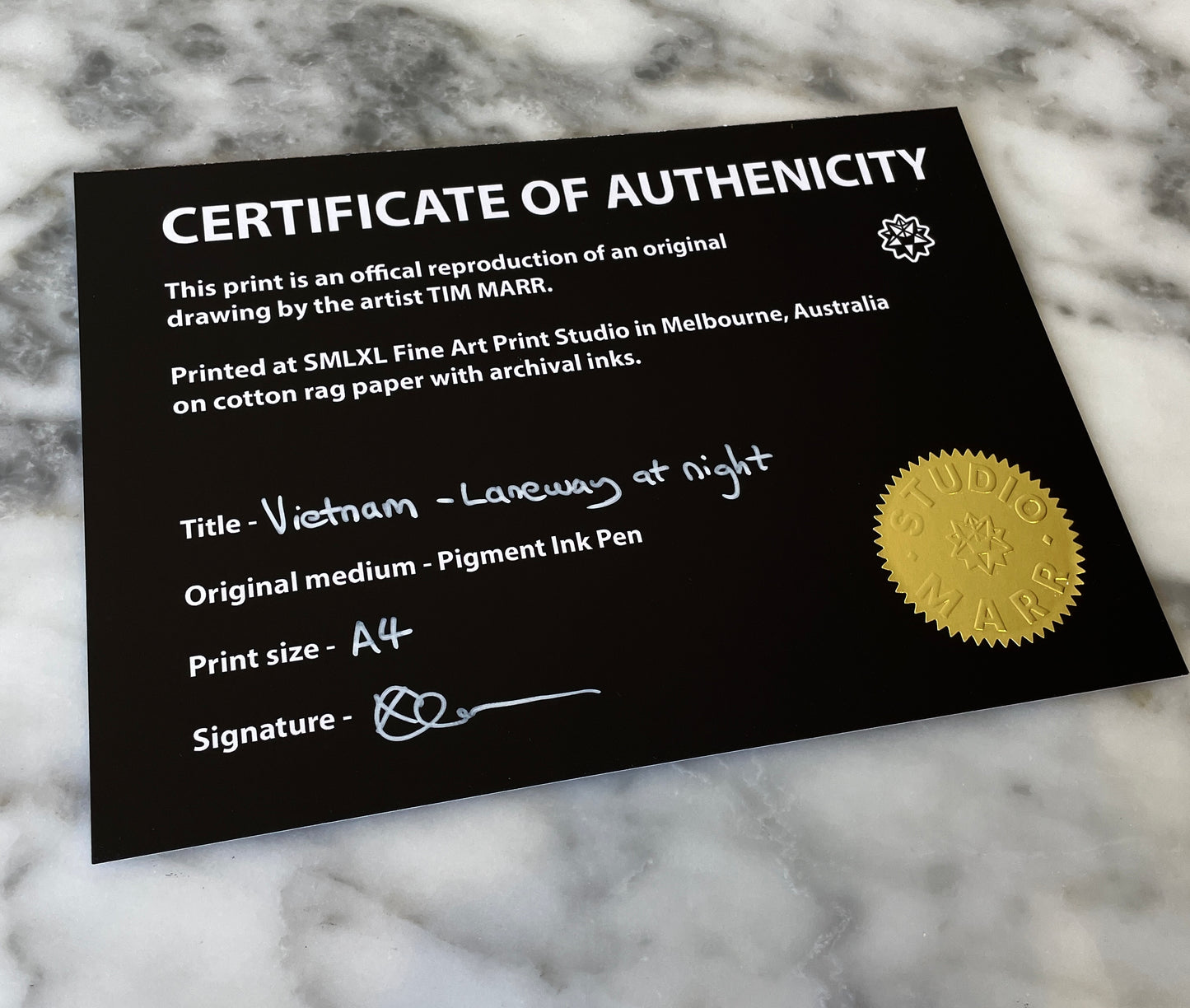 Vietnam - Laneway at Night - Fine Art Print - A4