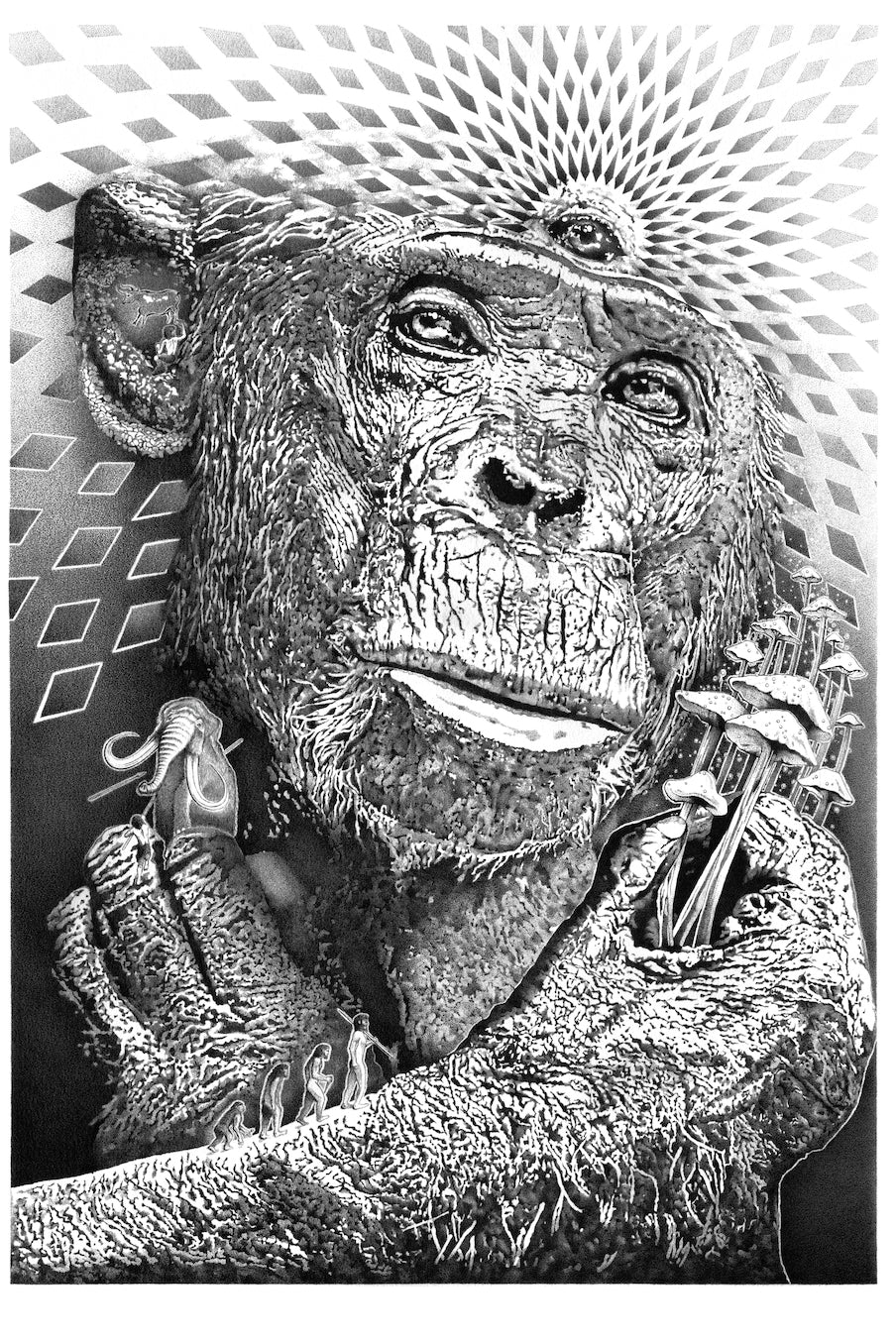 Stoned Ape Theory - Fine Art Print - A1