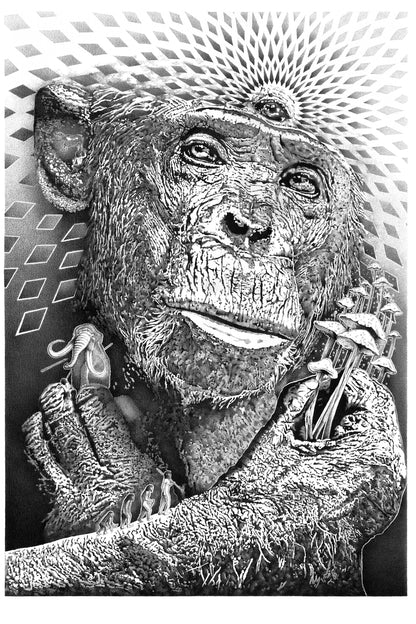 Stoned Ape Theory - Fine Art Print - A1