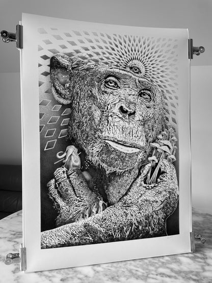 Stoned Ape Theory - Fine Art Print - A1