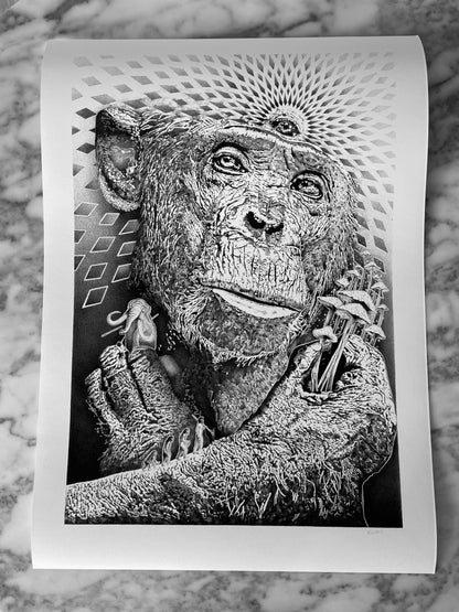 Stoned Ape Theory - Fine Art Print - A1